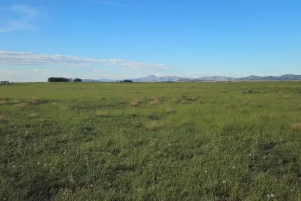 Campo verde y horizonte serrano en finca rural en Buenos Aires.